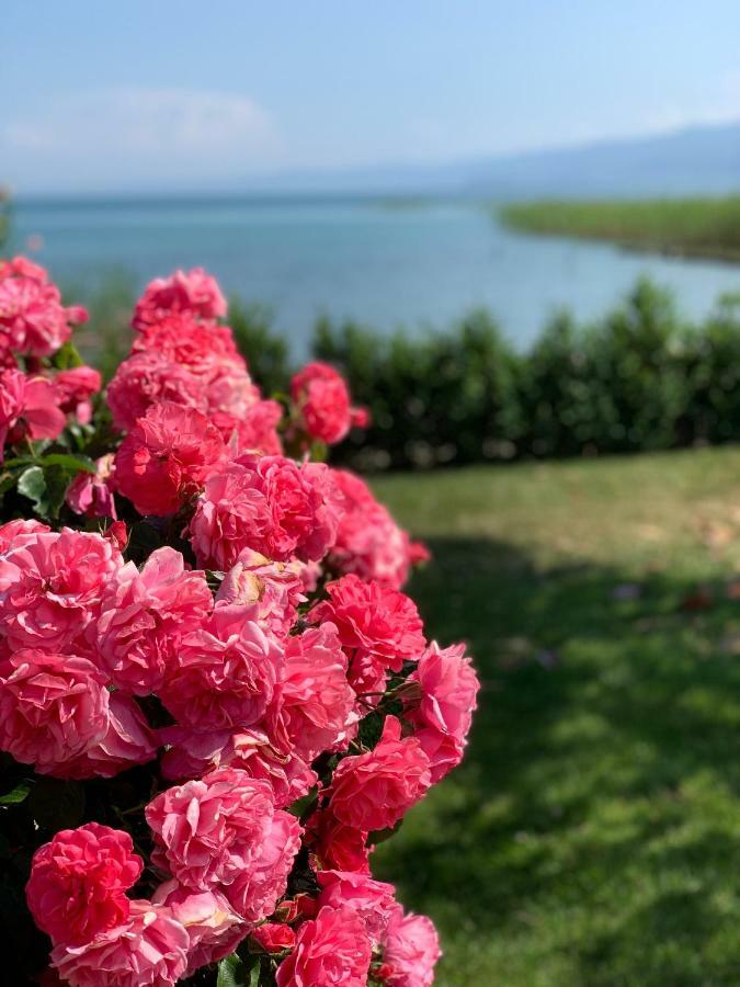 Guest House Tivko Katce Γκόστιβαρ Εξωτερικό φωτογραφία