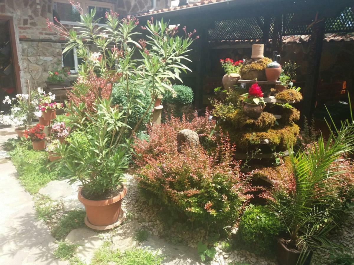 Guest House Tivko Katce Γκόστιβαρ Εξωτερικό φωτογραφία